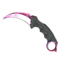 Doppler Phase 2