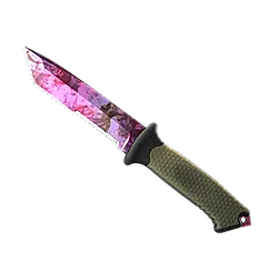 Doppler Phase 2
