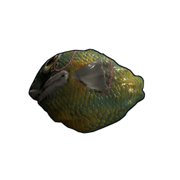 Fish Rock