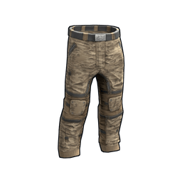 Desert Raiders Pants